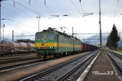 Zobrazi� cel� fotku