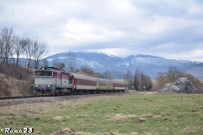 Zobrazi� cel� fotku