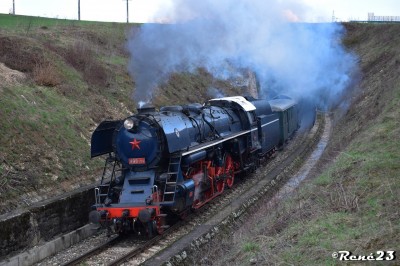 Zobrazi� cel� fotku