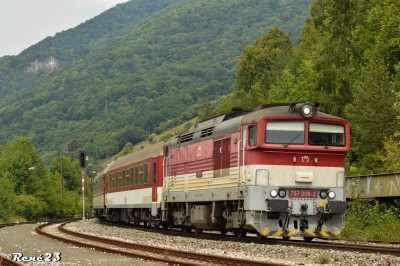 Zobrazi� cel� fotku