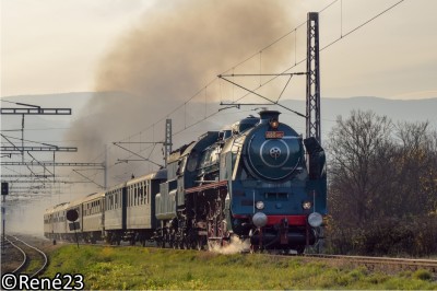 Zobrazi� cel� fotku