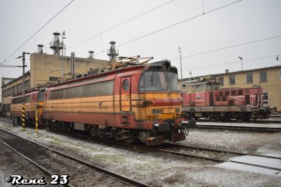 Zobrazi� cel� fotku