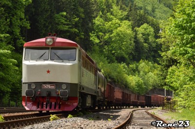 Zobrazi� cel� fotku