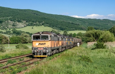 Zobrazi� cel� fotku