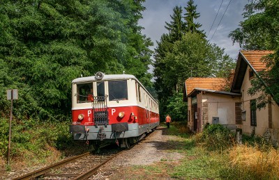 Zobrazi� cel� fotku