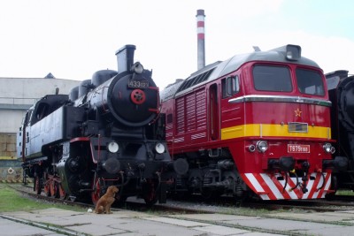 Zobrazi� cel� fotku