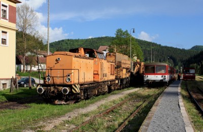 Zobrazi� cel� fotku