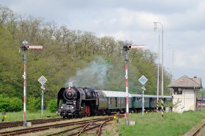 Zobrazi� cel� fotku