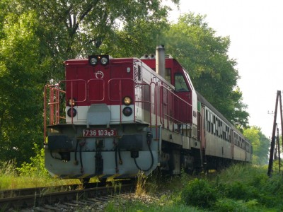 Zobrazi� cel� fotku