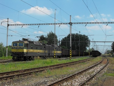 Zobrazi� cel� fotku