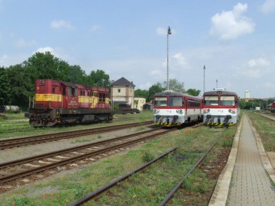 Zobrazi� cel� fotku