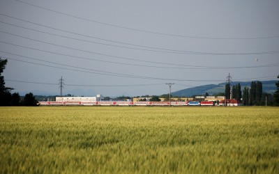 Zobrazi� cel� fotku