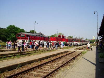 Zobrazi� cel� fotku