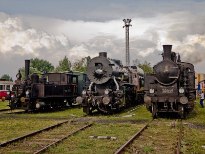 Zobrazi� cel� fotku