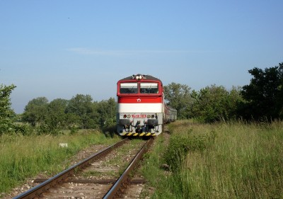 Zobrazi� cel� fotku