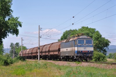 Zobrazi� cel� fotku