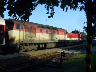 Zobrazi� cel� fotku