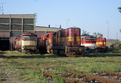 Zobrazi� cel� fotku