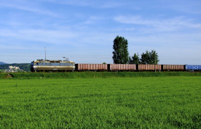 Zobrazi� cel� fotku