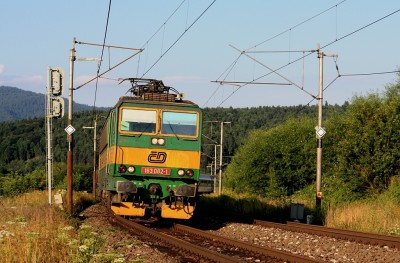 Zobrazi� cel� fotku