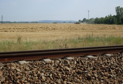 Zobrazi� cel� fotku