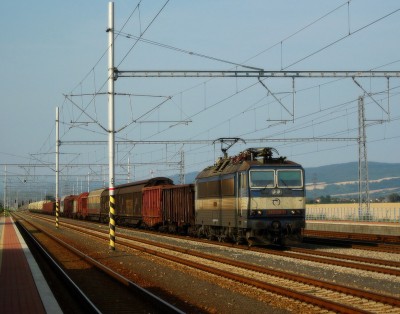 Zobrazi� cel� fotku