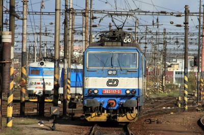 Zobrazi� cel� fotku