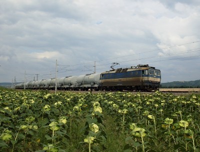 Zobrazi� cel� fotku