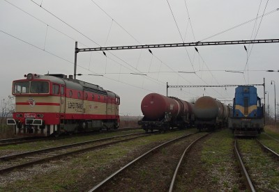 Zobrazi� cel� fotku