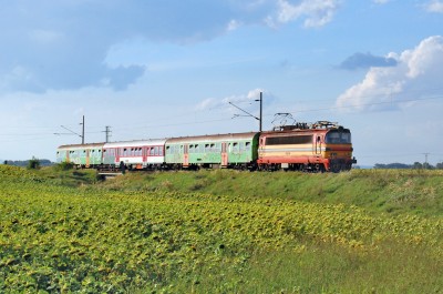 Zobrazi� cel� fotku