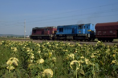 Zobrazi� cel� fotku