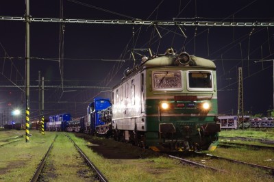 Zobrazi� cel� fotku