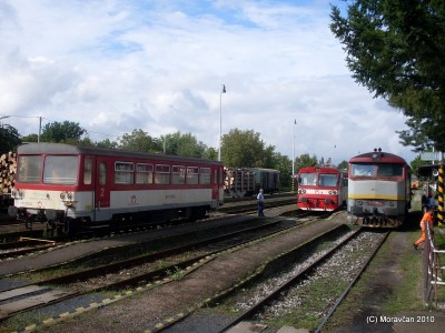 Zobrazi� cel� fotku