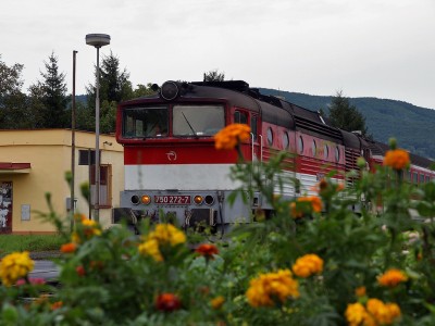 Zobrazi� cel� fotku