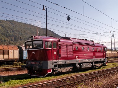 Zobrazi� cel� fotku