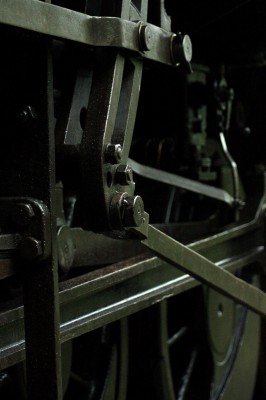 Zobrazi� cel� fotku