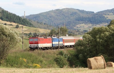 Zobrazi� cel� fotku