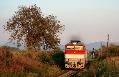 Zobrazi� cel� fotku