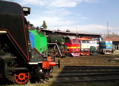 Zobrazi� cel� fotku