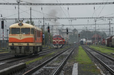 Zobrazi� cel� fotku