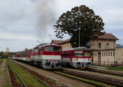 Zobrazi� cel� fotku