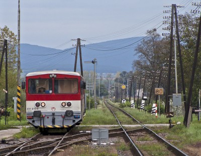 Zobrazi� cel� fotku