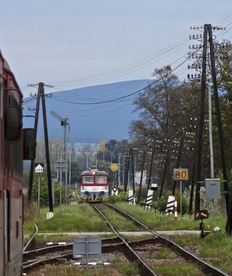 Zobrazi� cel� fotku
