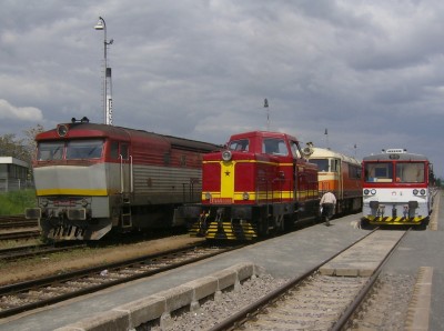 Zobrazi� cel� fotku