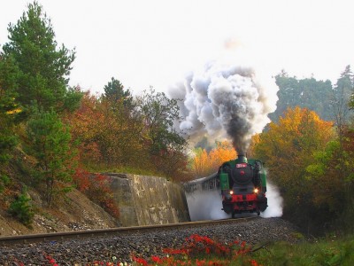 Zobrazi� cel� fotku