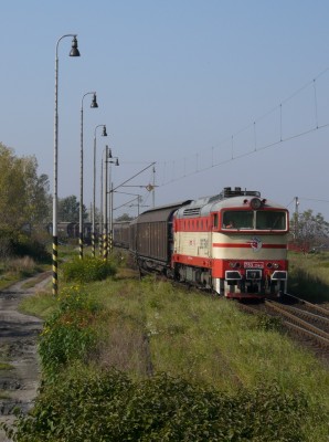 Zobrazi� cel� fotku