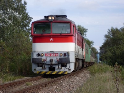 Zobrazi� cel� fotku