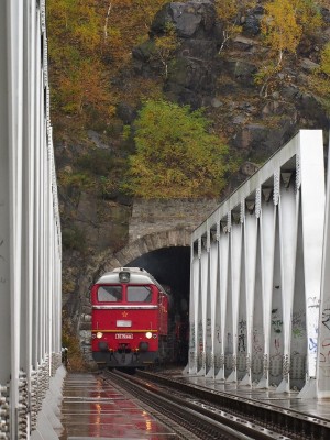 Zobrazi� cel� fotku