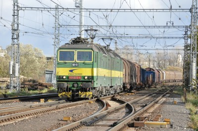 Zobrazi� cel� fotku