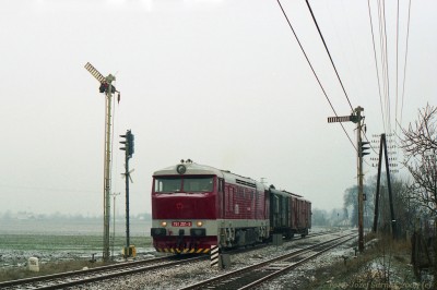 Zobrazi� cel� fotku